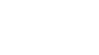 REPORT